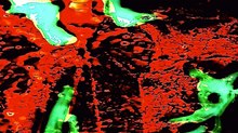 Riding in the Car with Boys and Toys (and a Few Actors)