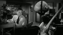 The Myth of the Split Brain