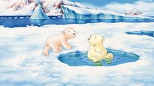 ITFS Announces ‘Animation without Borders’ Theme for 2017
