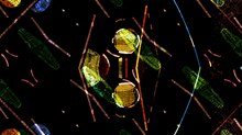Keep it in Motion - Classic Animation Revisited: 'Sillon 672'