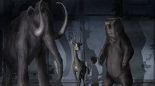 Review: FIAF’s 2020 Animation First Festival