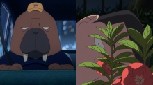 A Walrus Taxi Driver and a Talking Plant: The Baku Kinoshita Interview