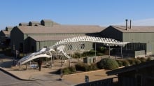 Seymour Marine Discovery Center, Halon Team to Preserve Cultural Landmark
