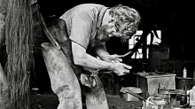 Progress and the Cycle of Creativity